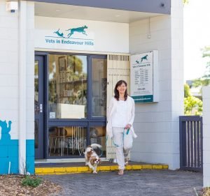 Vets in Endeavour Hills Pet care service in Endeavour Hills