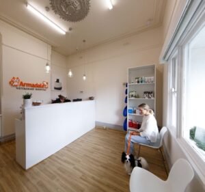 Armadale Veterinary Hospital Pet care service in Armadale
