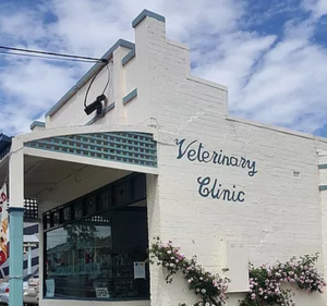 Veterinary Clinics in Melbourne Australia West Brunswick Veterinary Clinic