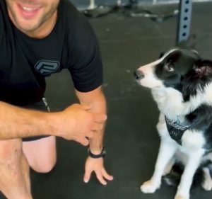 Purpose Fitness Adelaide Gym & Fitness in Prospect