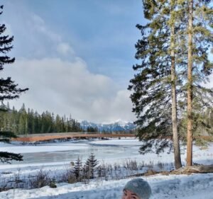 Redwolf + Rosch Employment agency in Melbourne