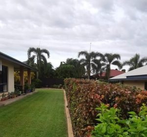  Green Thumb Grass & Gardens