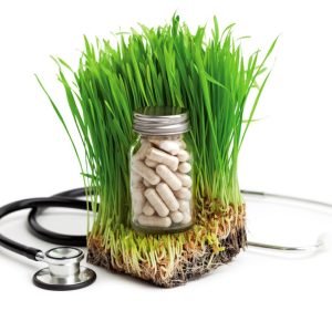 Sarah Franklin - Balanced Health Naturopathy Health & Medical in Coolangatta