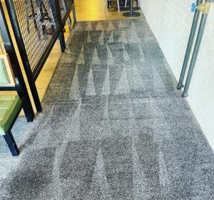 Carpet Cleaning Services in Victoria Australia Allpro Cleaning Service Melbourne