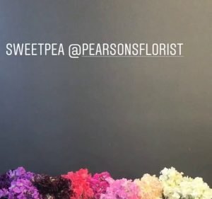Pearsons Florist Florist in Stanmore