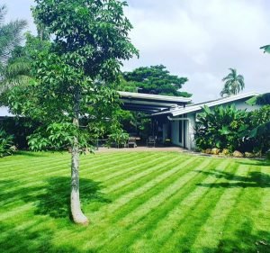 Green Thumb Grass & Gardens Gardening in Moil