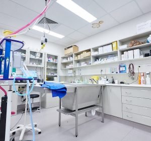 Veterinary Clinics in Melbourne Australia Greencross Vets Hoppers Crossing