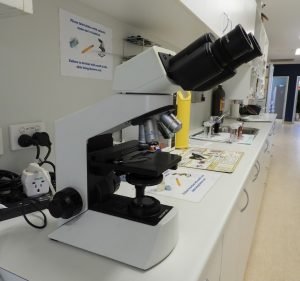 Howard Springs Veterinary Clinic Pet care service in Howard Springs