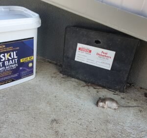 PEST DISTURBERS PTY LTD Pest control service in Melbourne