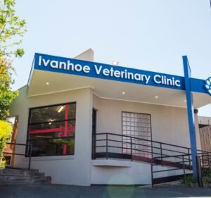Ivanhoe Veterinary Clinic Pet care service in Ivanhoe