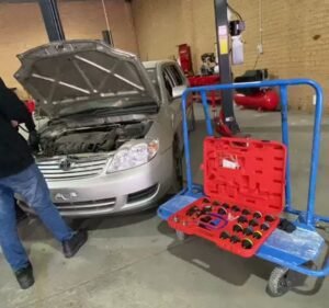 Training and Development in Melbourne Australia Hawk Institute