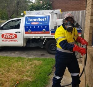 Pest Control Services in Melbourne Australia Flick Pest Control Melbourne