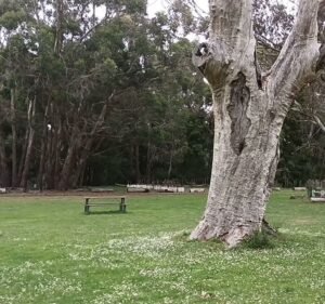 Hanging Rock Cafe Food & Beverages in Woodend