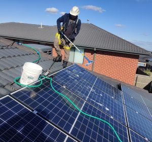Pest Control Services in Melbourne Australia Formula Pest Control