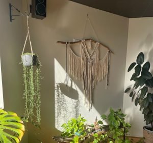 Yoga Studios in Melbourne Australia La Yoga