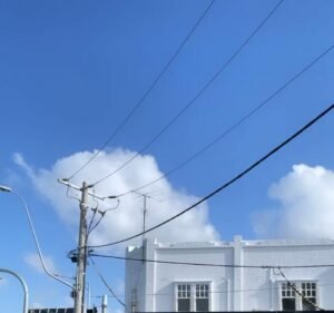 Florists in Victoria Australia Amazing Graze Flowers