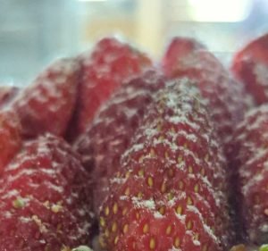 5B2F Bakehouse Food & Beverages in Southport