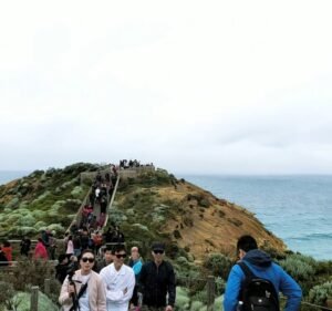 Great Ocean Road Tours Travel in Melbourne
