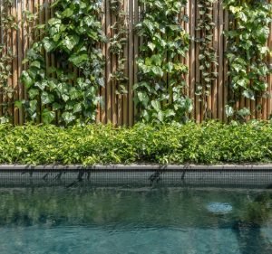 Landscaping Services in Melbourne Australia Eugene Gilligan Garden Design