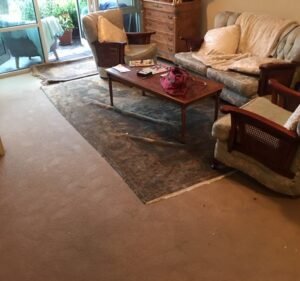 Jena's Carpet Cleaning Cleaning service in Melbourne
