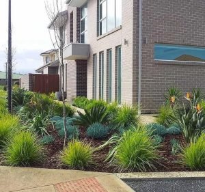 Get-Eco Adelaide's Sustainable Landscape Designer in Blackwood