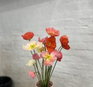 Elysee Flowers Florist in Kensington