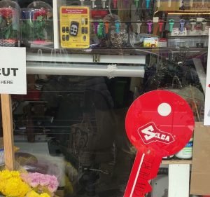 Flora Plant On Chapel Florist in South Yarra