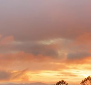 More Real Estate Real Estate in Moonah