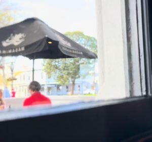 Alphapet Port Melbourne Pet care service in Port Melbourne