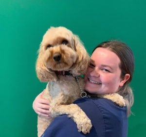 313 Vets Pet care service in Hawthorn East