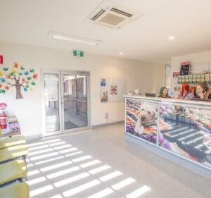 Animal Aid Vet Clinic Pet care service in Coldstream