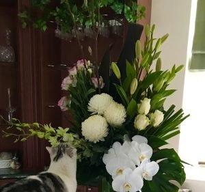 Florists in Melbourne Australia Panache Flowers