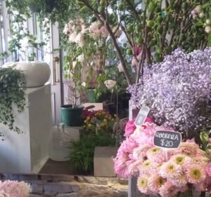 Flowers Vasette Florist in Fitzroy