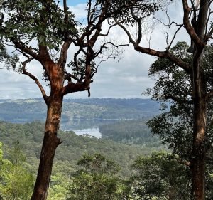 The Long Apron Food & Beverages in Montville