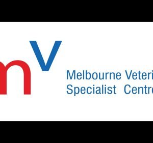 Melbourne Veterinary Specialists Centre Glen Waverley Pet care service in Glen Waverley