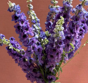 QUEEN ST FLOWER CO Florist in Melbourne