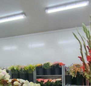 Grown Florists Florist in Moonee Ponds