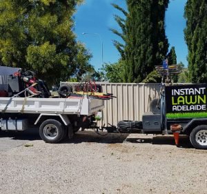  Instant Lawn Adelaide