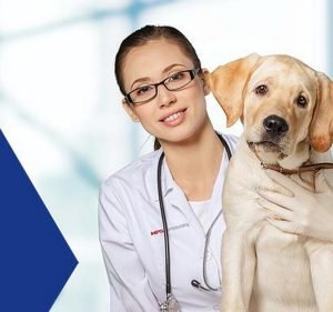  HPS Pharmacies - Spring Hill