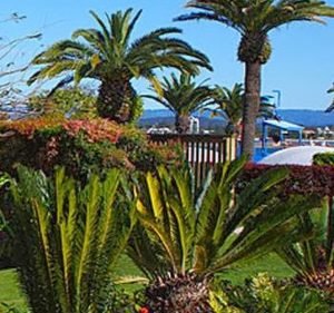 Landscaping Services in Victoria Australia Rose Landscape Services