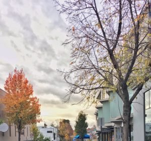 Apparel and Accessories in South Yarra Australia ZIMMERMANN South Yarra