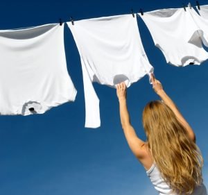 Renes Dry Cleaners Cleaning service in Port Melbourne