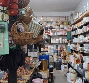 Flora Plant On Chapel Florist in South Yarra