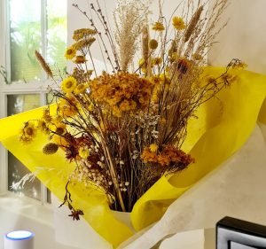 South Yarra Family Dental Care Dentist in South Yarra