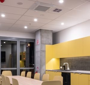 Ray White Werribee Real Estate in Werribee