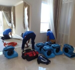 Superior Carpet Care Cleaning service in Cheltenham