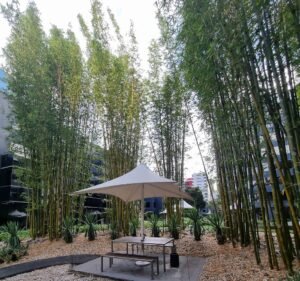 Web Design Services in Melbourne Australia Xugar