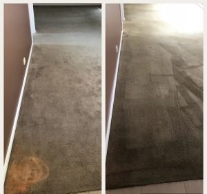 Surf Coast Carpet Cleaning Cleaning service in Torquay