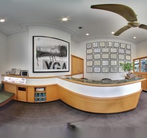  The Paddington Dental Surgery