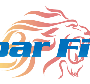 Roar Fire Systems Fire Protection in Carrum Downs